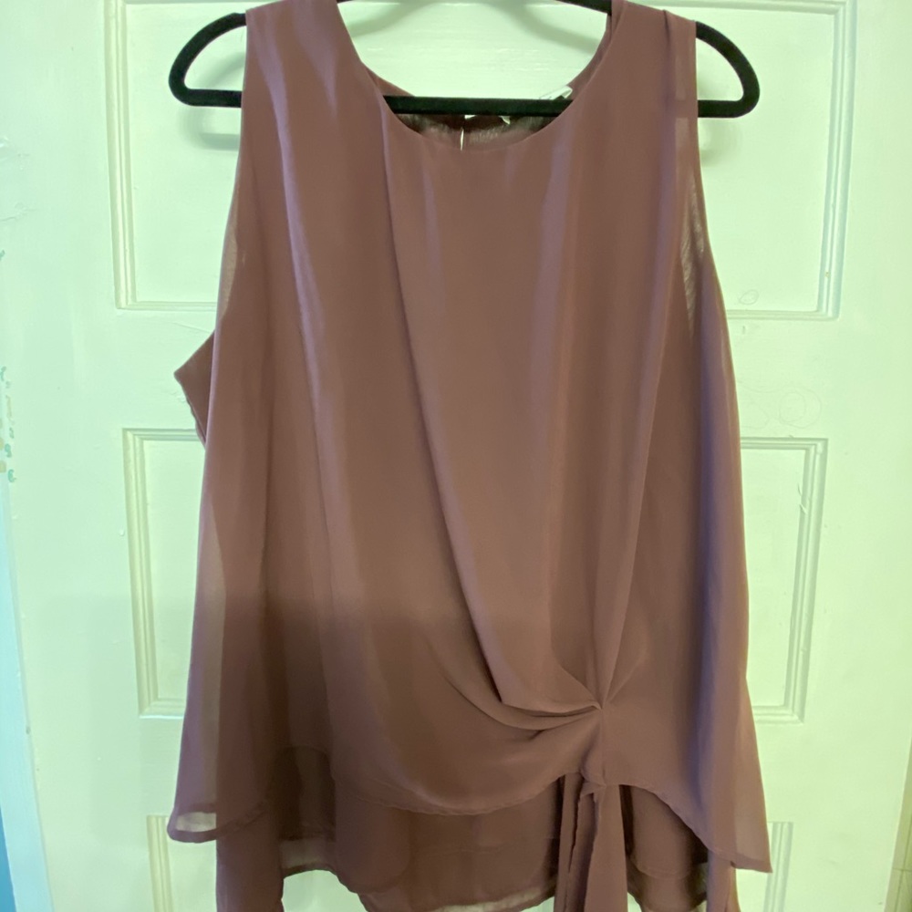 Plum shirt 2x